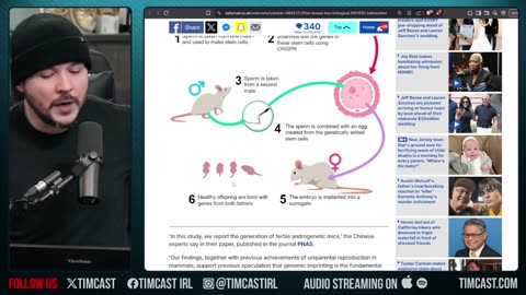 Scientists Make Mice With TWO DADS, Use Genetics To COMBINE Sperm Into ONE MOUSE