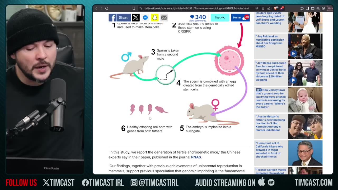 Scientists Make Mice With TWO DADS, Use Genetics To COMBINE Sperm Into ONE MOUSE