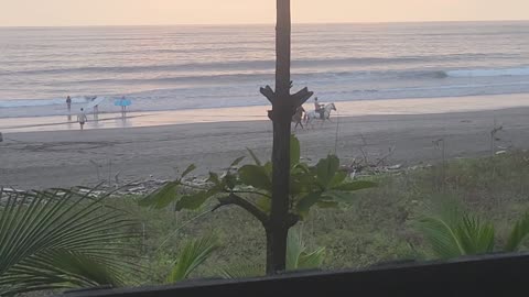 2/19/25. Horses on the beach