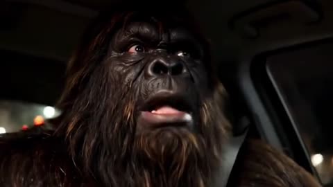 Bigfoot gets catfished 😂