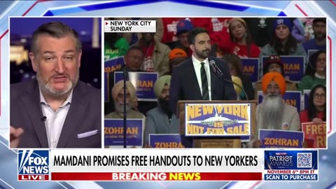 Democrat Party Has Lost Their Minds