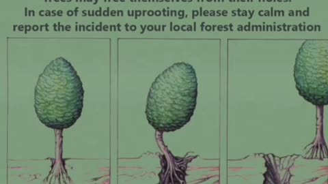 The tree is moving.