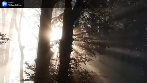 I'm Always on a Mountain When I Fall , Merle Haggard 1978, Randy Travis 2013,