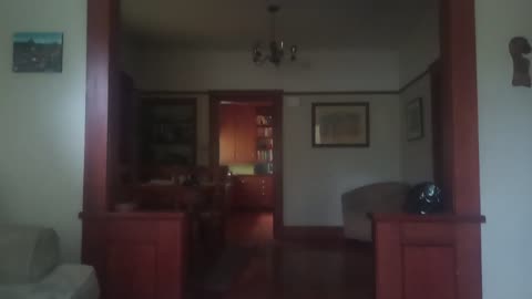 Daniel Tiger Ruins Toy Story 30th Anniversary Party and Gets Grounded