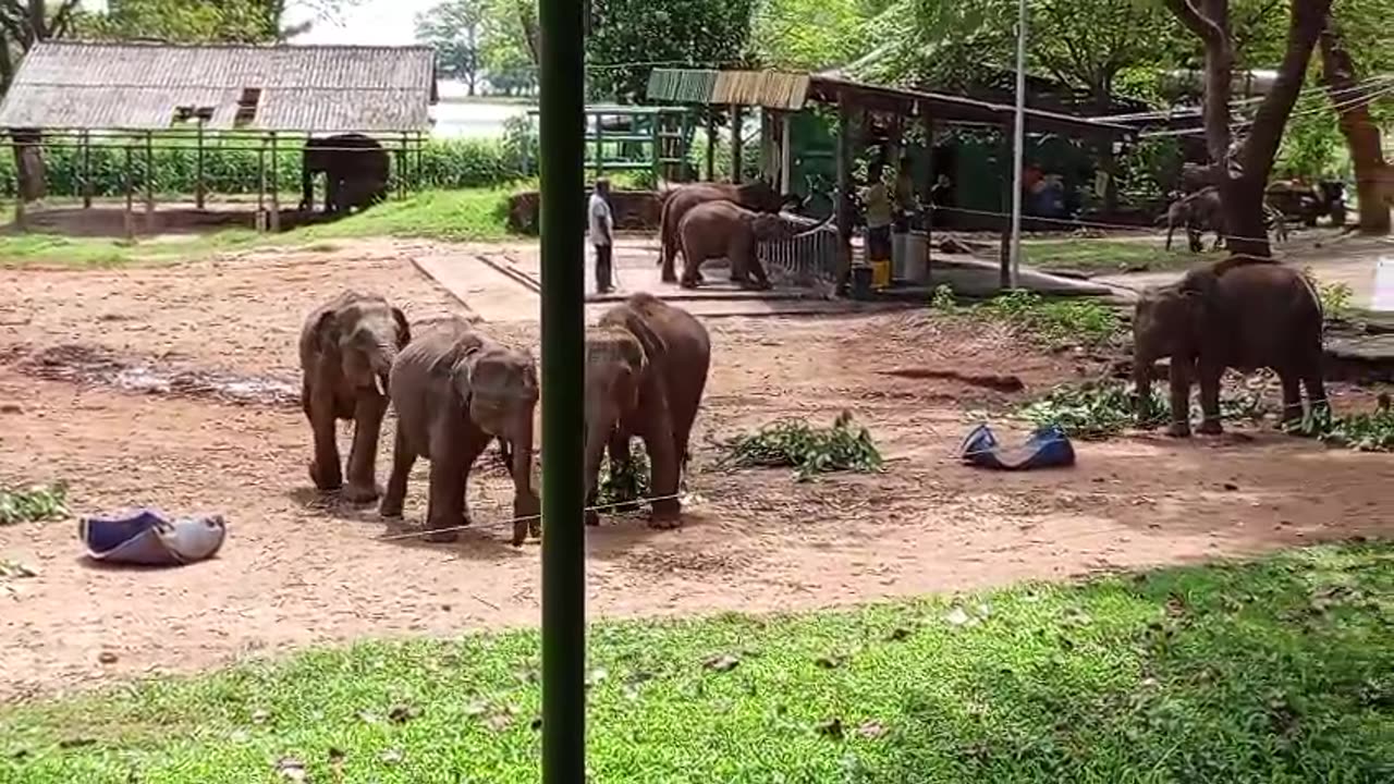 Feeding Time - Part One