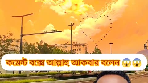 “Birds Flying—A Beautiful Sign of Allah’s Creation 🕊️✨”