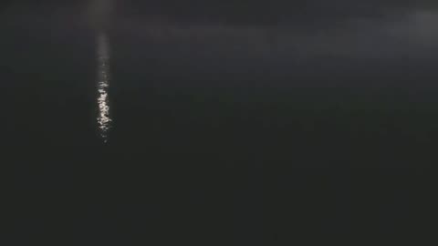 SARASOTA MOONLIGHT BAY!