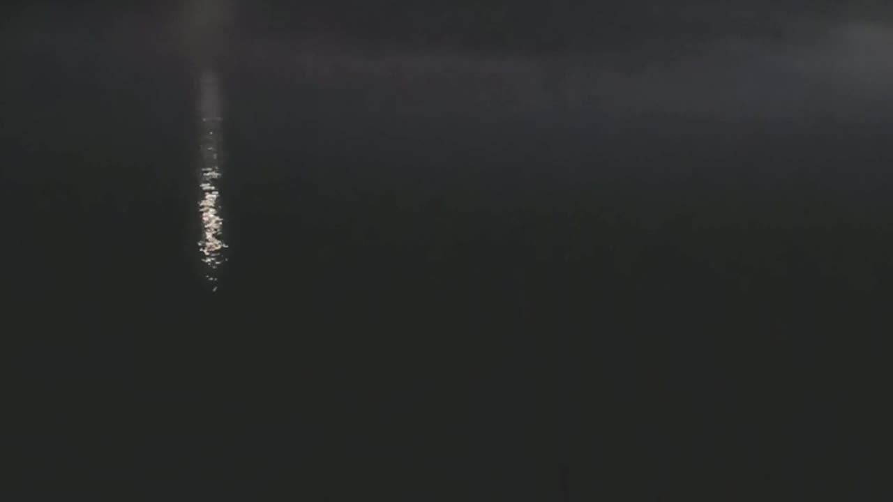 SARASOTA MOONLIGHT BAY!