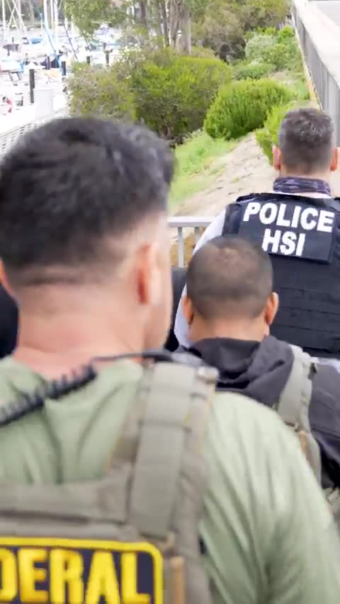 Footage shows ICE agents arresting Salvadoran national Wilbur Antonio