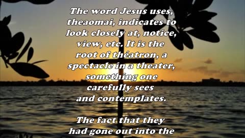 Matthew 11:7 - Daily Bible Verse Commentary