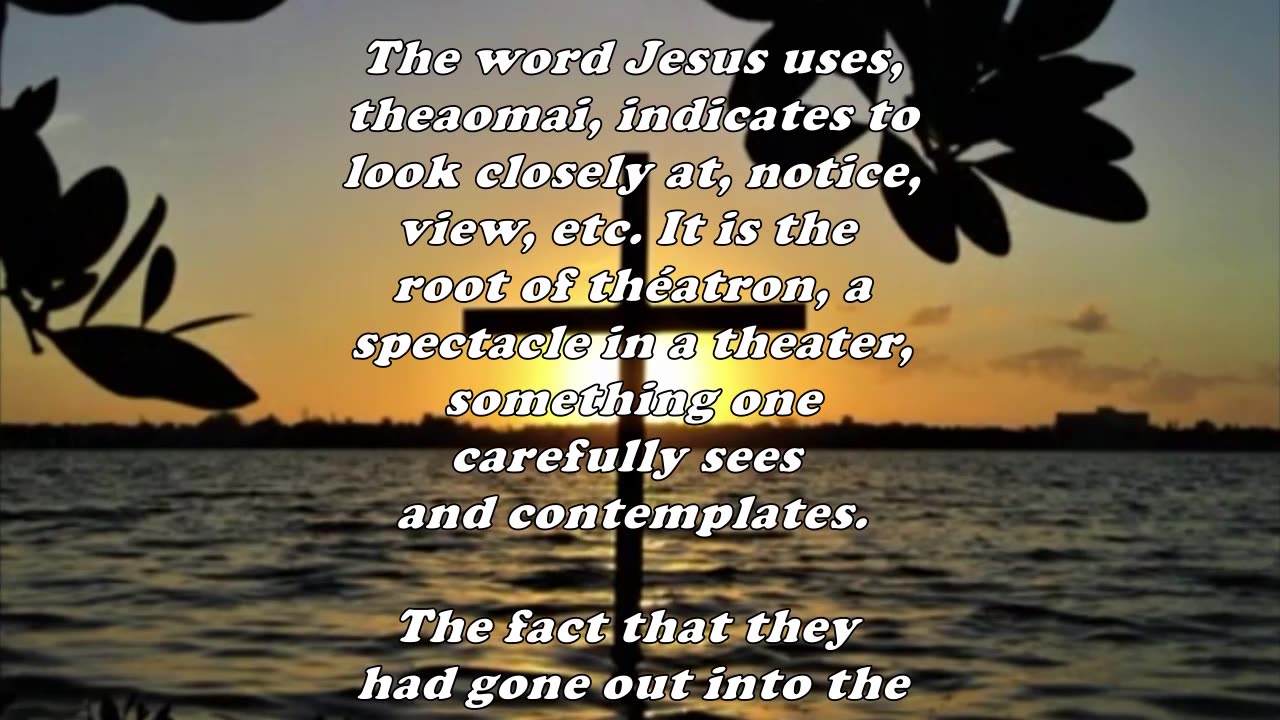 Matthew 11:7 - Daily Bible Verse Commentary