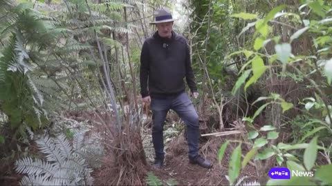 Stuff visits the site of the camp where Tom Phillips and his children had been staying