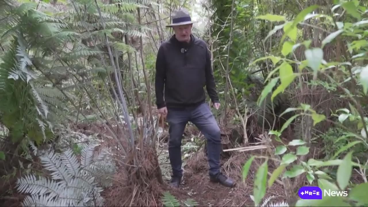 Stuff visits the site of the camp where Tom Phillips and his children had been staying