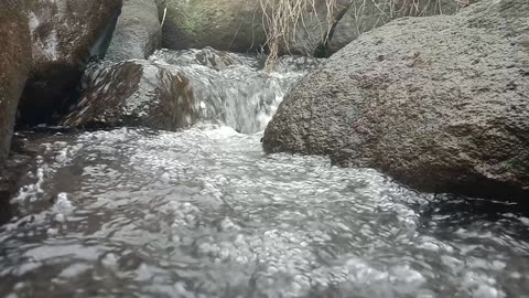 Gentle Stream Ambience | 2 Minutes of Peace
