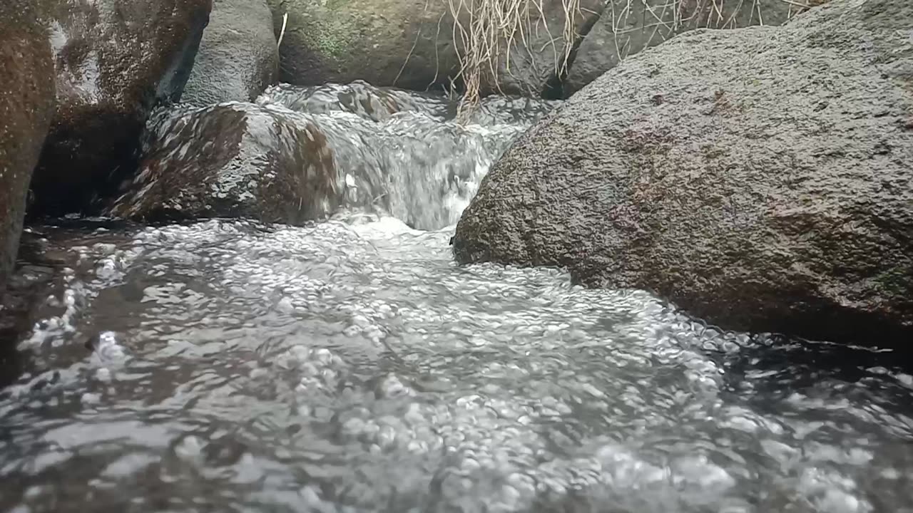 Gentle Stream Ambience | 2 Minutes of Peace