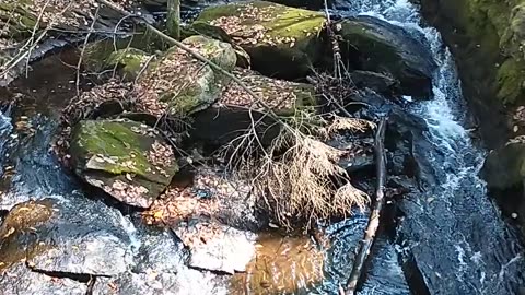 Chesterfield Gorge