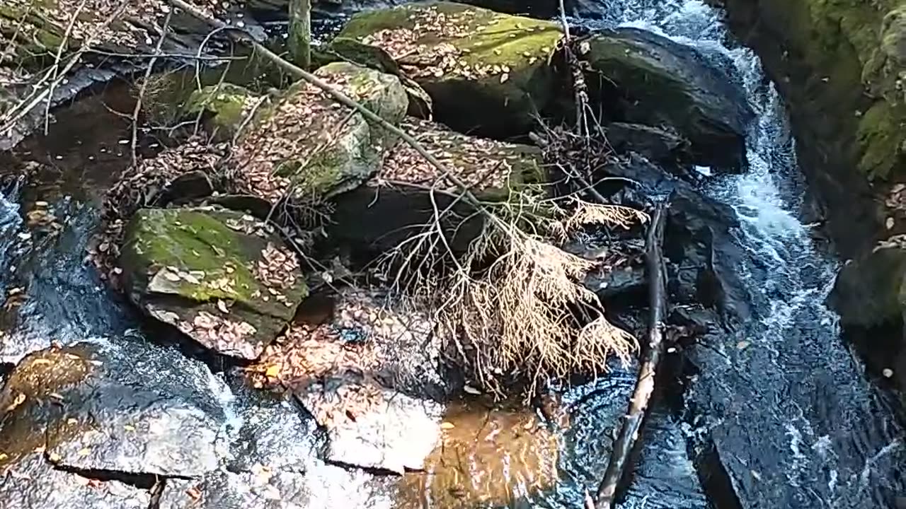 Chesterfield Gorge