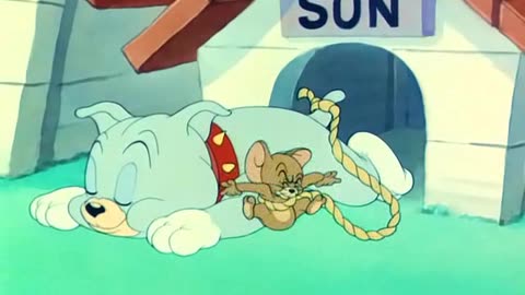 TOM & JERRY EP 044 Love That Pup [1949] 720P