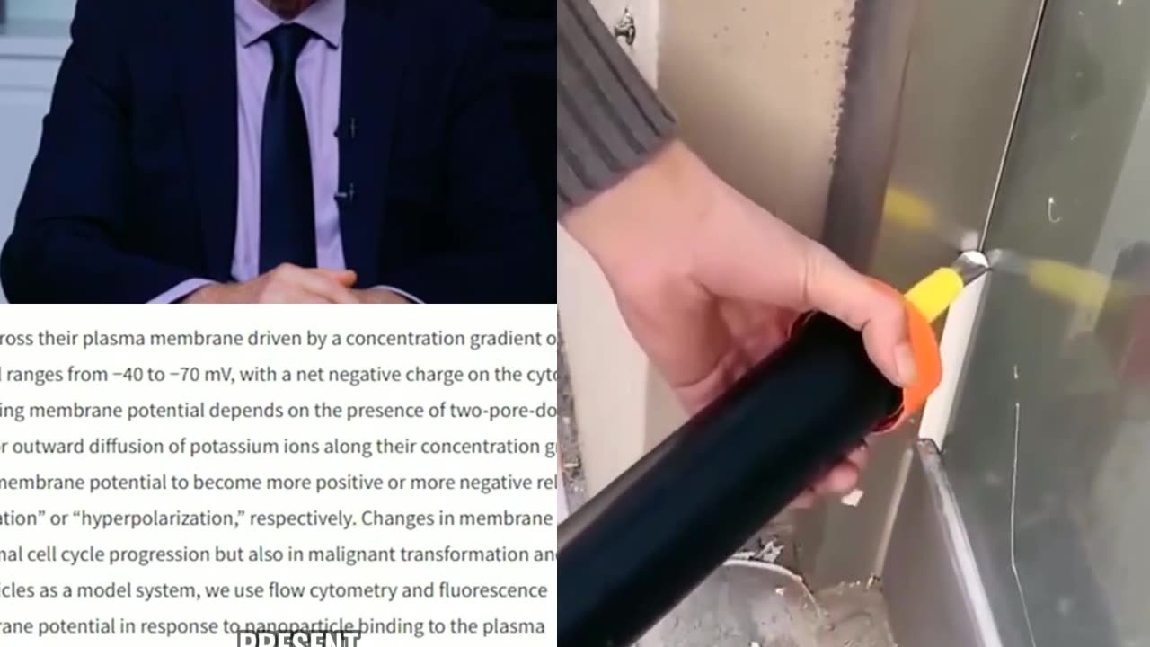 Plastic Poisoning: How Tiny Particles Are Changing Our DNA