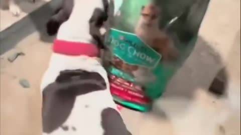 😂🍽️ He Really Loves His Food! | FunFM