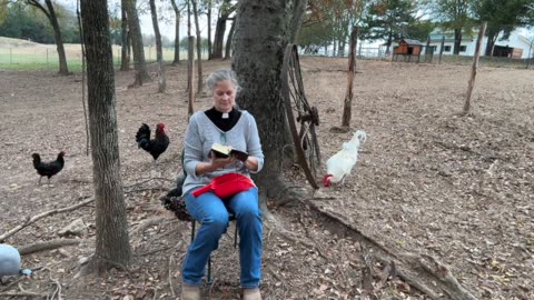 Morning Prayer, Daily Office