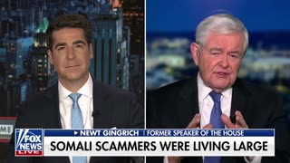 Newt Gingrich: Somali Fraud Is An Extraordinary Problem