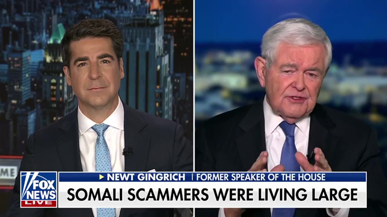 Newt Gingrich: Somali Fraud Is An Extraordinary Problem