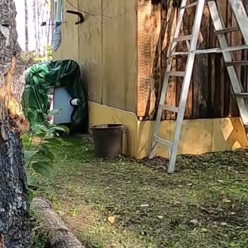 Cutting Wiener in Half_ Stay Still Or Else! #axethrowing