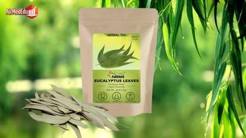 Efecto del Té de Hojas de Eucalipto en el Organismo