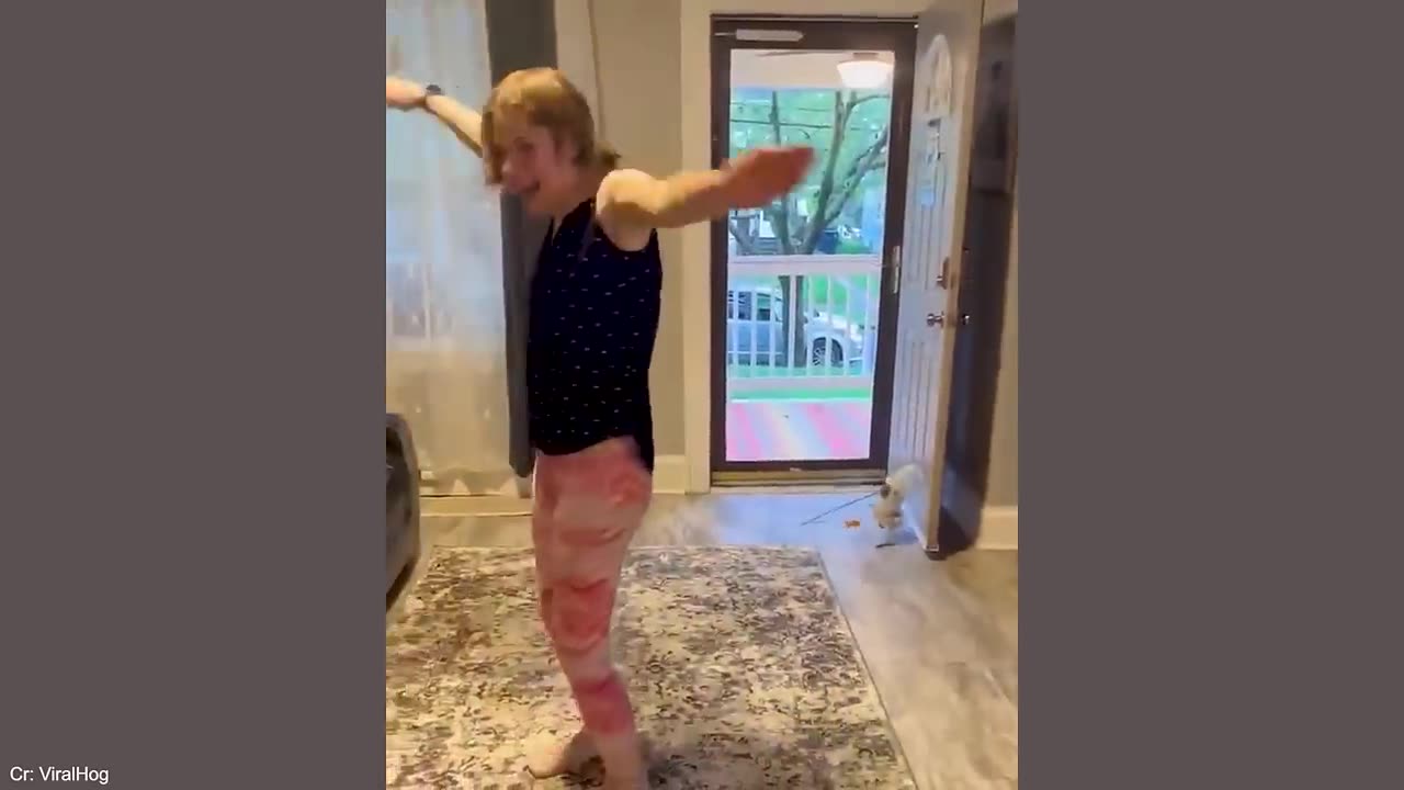 FunnyAnimal videos-Animal's crazy thing