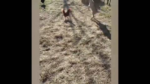 🎤 "The Most SHOCKING Celebrity Feuds You Forgot About!"