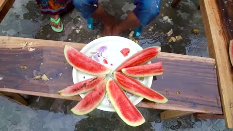 Tranding Fun