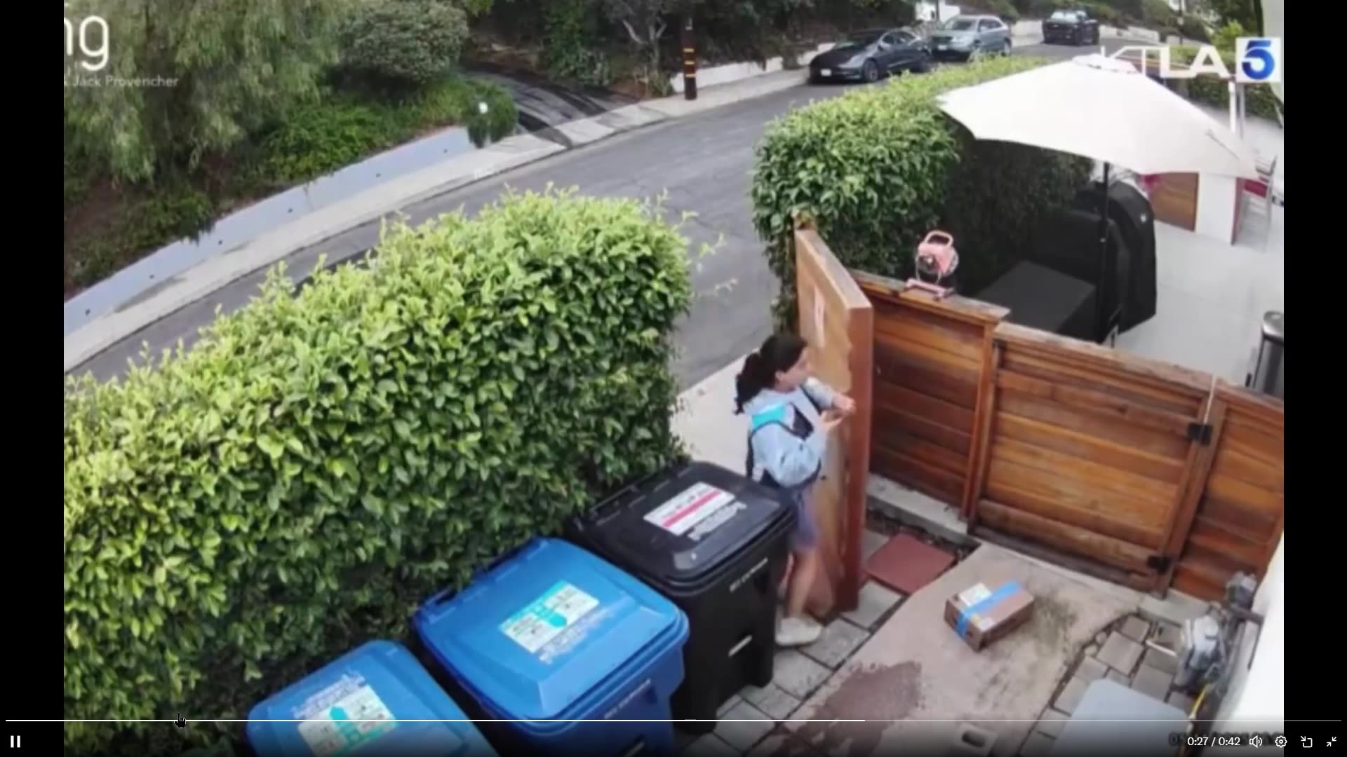 Amazon driver taking a dump on homeowners doorstep before urinating