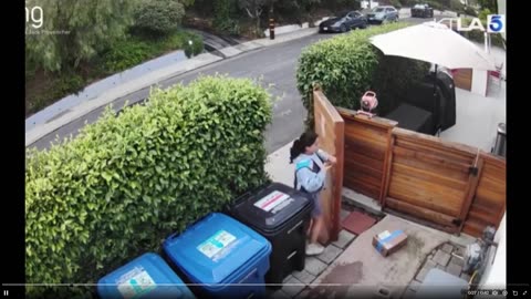Amazon driver taking a dump on homeowner's doorstep before urinating