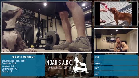 LBL Session w/Hank-a-Tank [Week 15] - Deadlifts/Back/Traps // Animal Rescue Stream :)