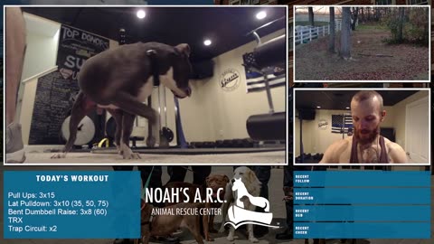 LBL Session w/Hank-a-Tank [Week 15] - Deadlifts/Back/Traps // Animal Rescue Stream :)