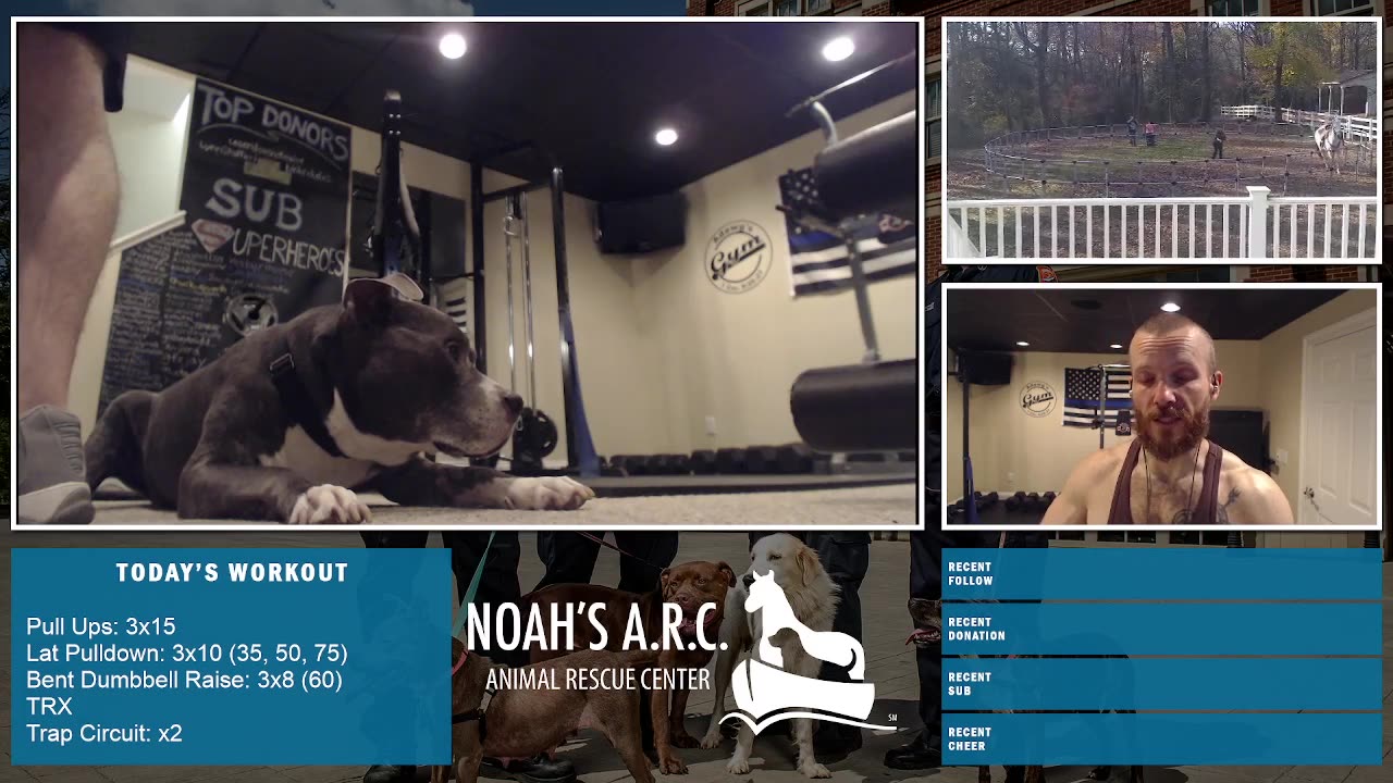 LBL Session w/Hank-a-Tank [Week 15] - Deadlifts/Back/Traps // Animal Rescue Stream :)