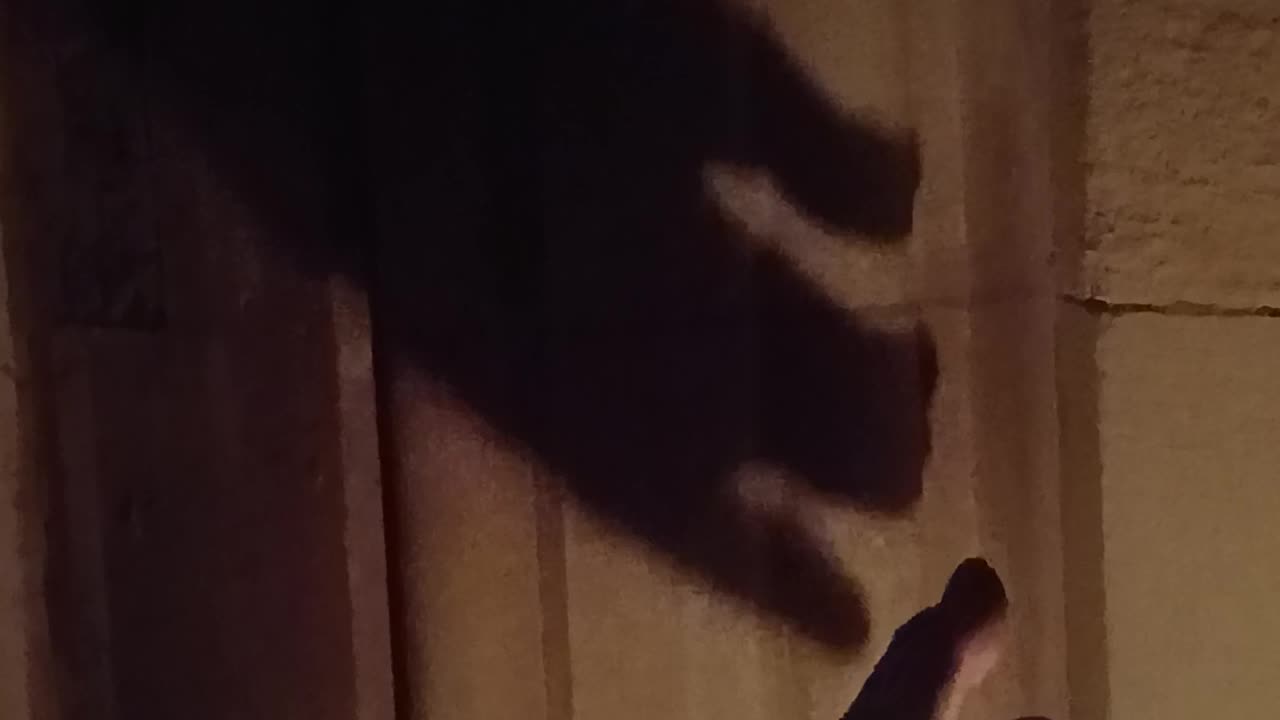 I called on the hand of god 😄