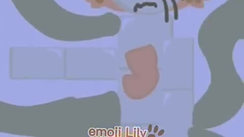 DON'T DO EMOJI CAT HATE and flash warning #emojicat
