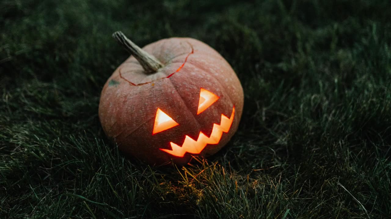 JACK by Karolina Grabowska | 4K Screensaver for TV Frame