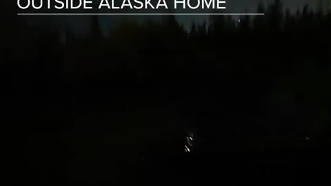 🤯✨ Green Aurora Borealis Captured Outside! | FeedMyCuriosity