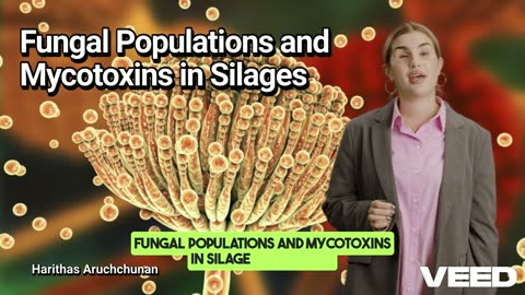 Hidden Danger:Fungi in Silage