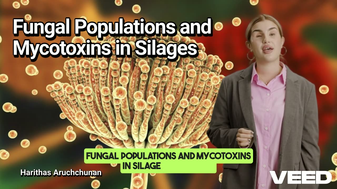 Hidden Danger:Fungi in Silage