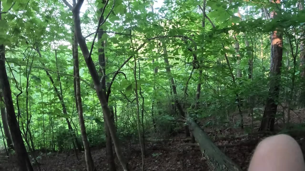 Can this retard make it to the tree before he touches lava Day: 10