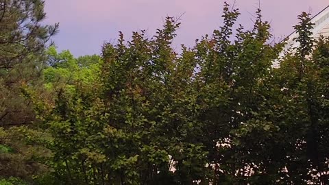 Why is it so red outside