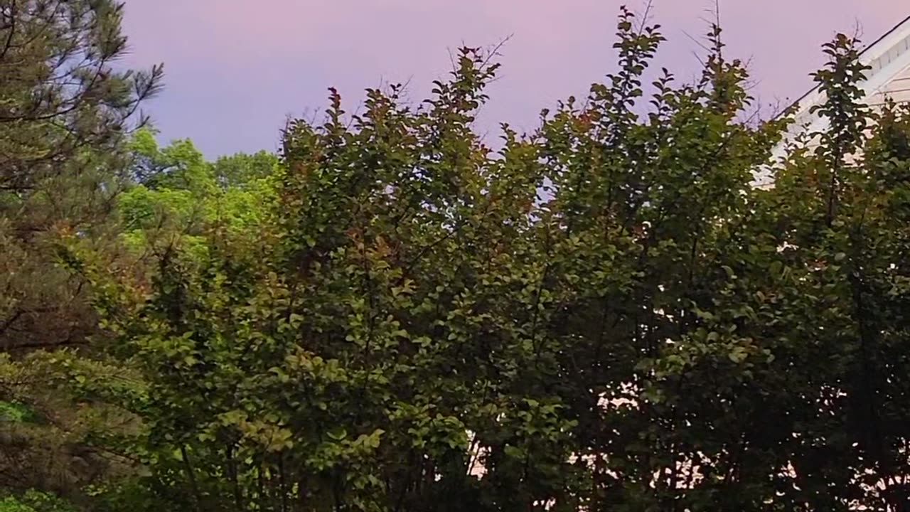 Why is it so red outside