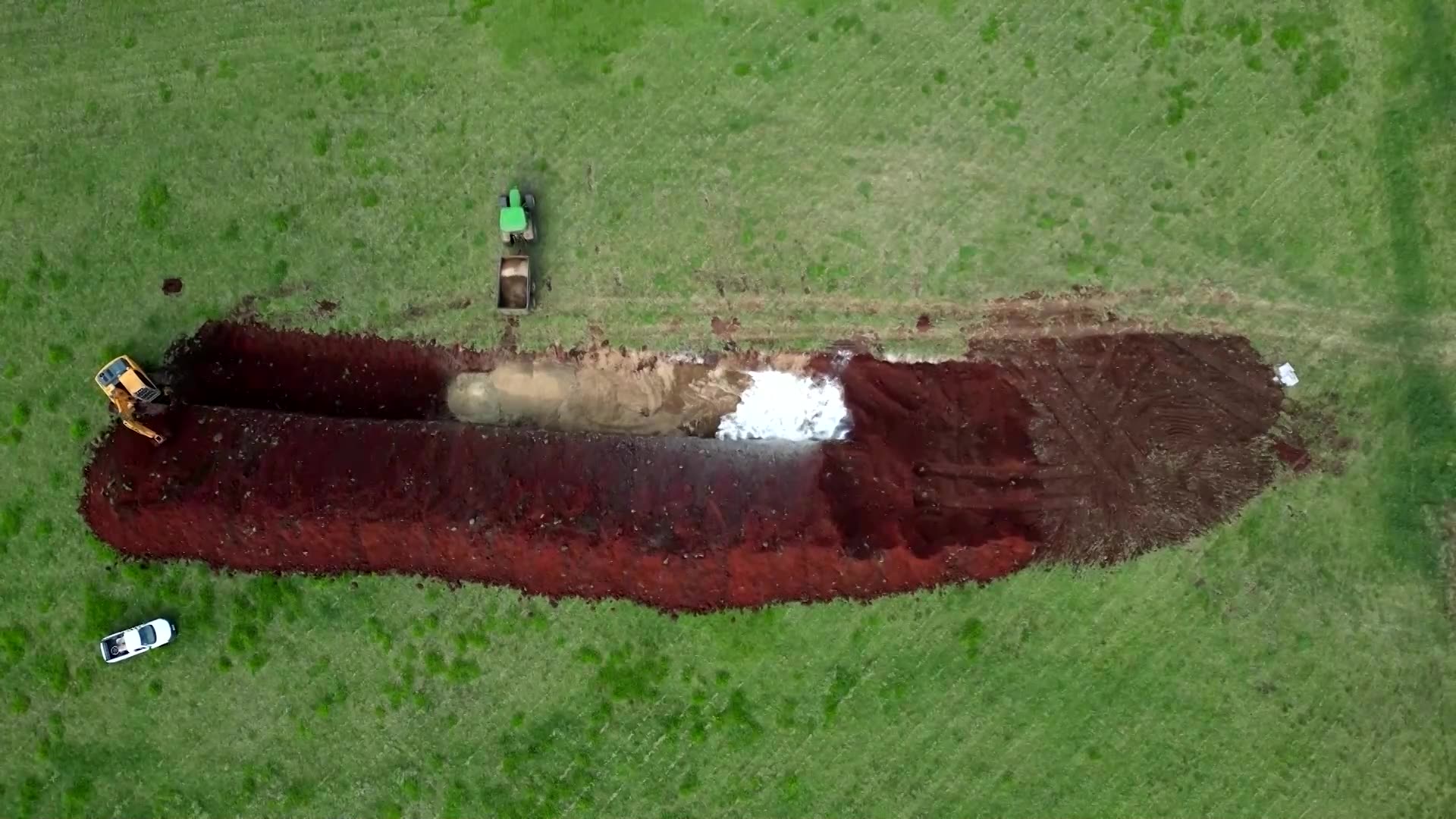 Hit by bird flu, Brazils farmers hope to lift total export ban