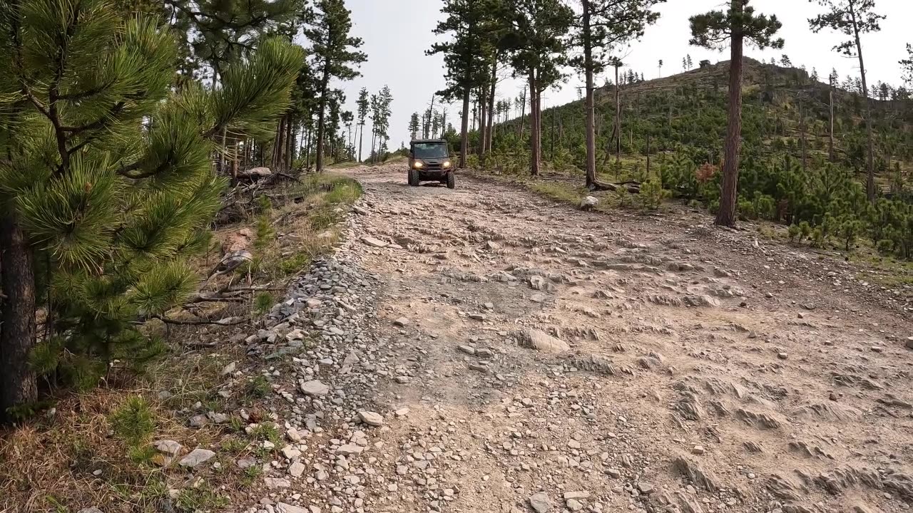 UTV Ride Down from Custer Peak in the Black Hills