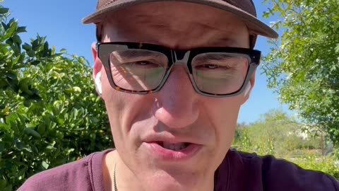 Wedding Presents!!! The Righteous Acts of the Saints