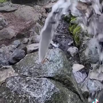 Coisas que os humanos não deveriam ver